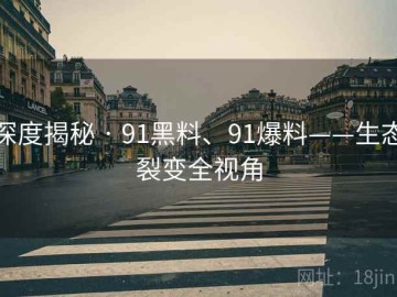 深度揭秘 · 91黑料、91爆料——生态裂变全视角