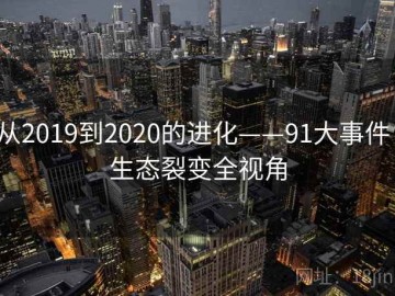 从2019到2020的进化——91大事件：生态裂变全视角