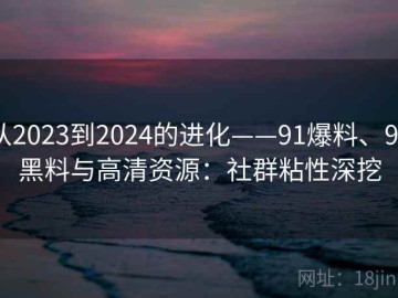 从2023到2024的进化——91爆料、91黑料与高清资源：社群粘性深挖