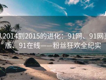 从2014到2015的进化：91网、91网页版、91在线——粉丝狂欢全纪实