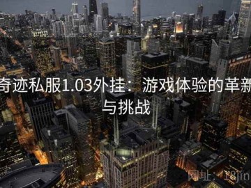 奇迹私服1.03外挂：游戏体验的革新与挑战