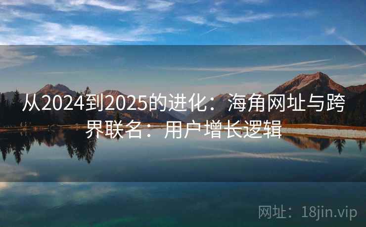 从2024到2025的进化：海角网址与跨界联名：用户增长逻辑