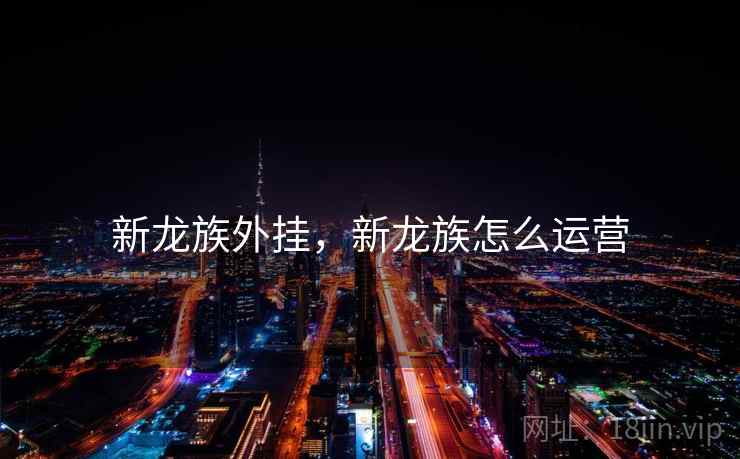 新龙族外挂，新龙族怎么运营