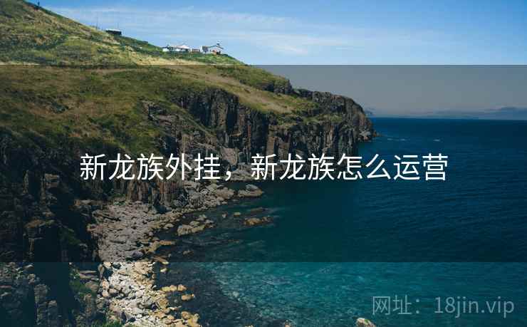 新龙族外挂，新龙族怎么运营