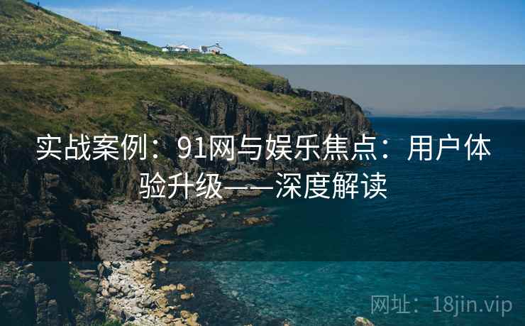 实战案例：91网与娱乐焦点：用户体验升级——深度解读