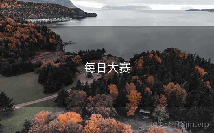 每日大赛