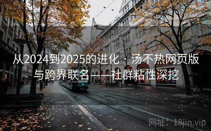 从2024到2025的进化 · 汤不热网页版与跨界联名——社群粘性深挖