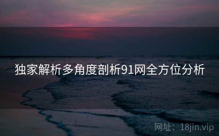 独家解析多角度剖析91网全方位分析