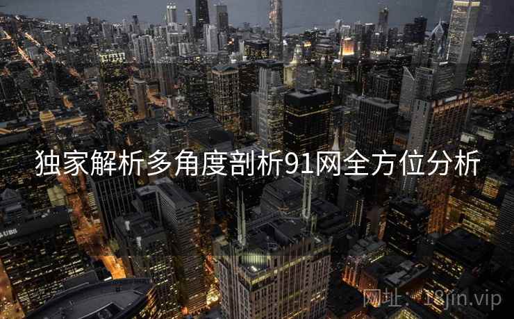 独家解析多角度剖析91网全方位分析