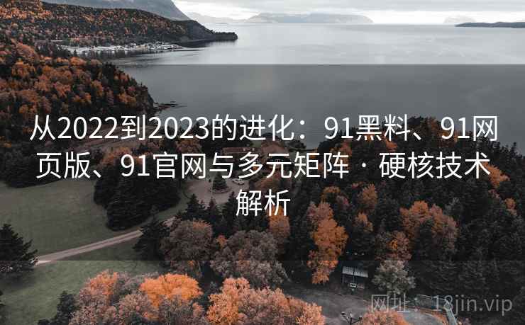 从2022到2023的进化：91黑料、91网页版、91官网与多元矩阵 · 硬核技术解析
