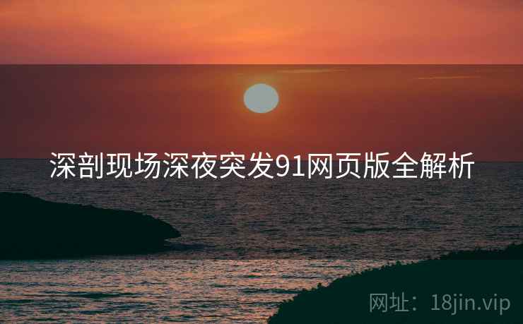 深剖现场深夜突发91网页版全解析