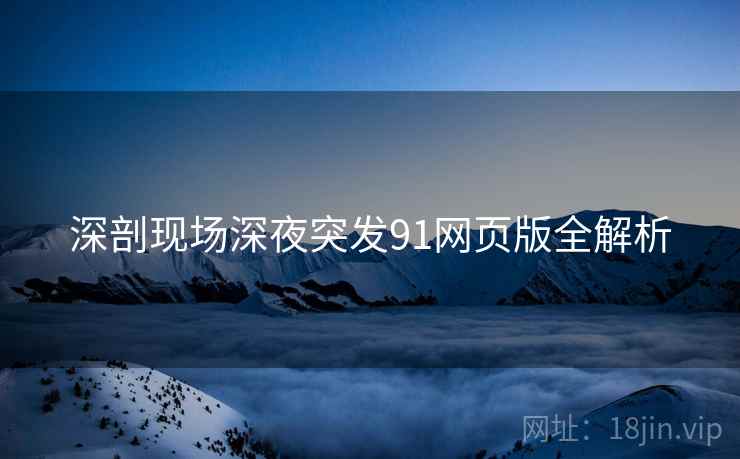 深剖现场深夜突发91网页版全解析