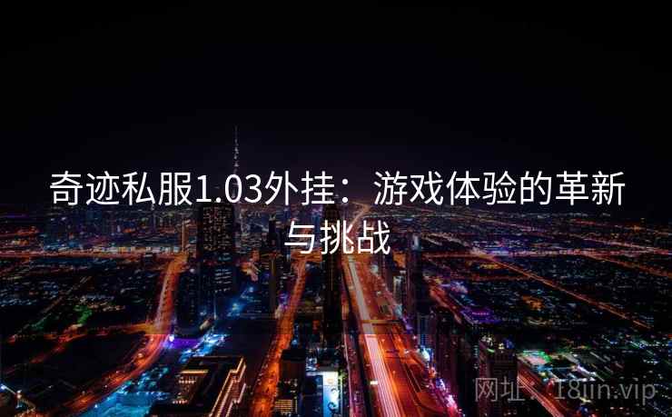 奇迹私服1.03外挂：游戏体验的革新与挑战