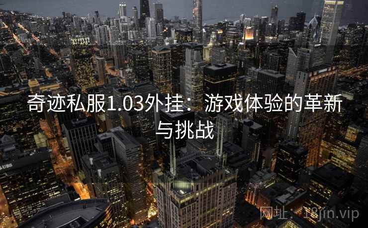 奇迹私服1.03外挂：游戏体验的革新与挑战